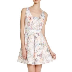AQUA Watercolor Floral Bonded Lace Dress (XS) NWT